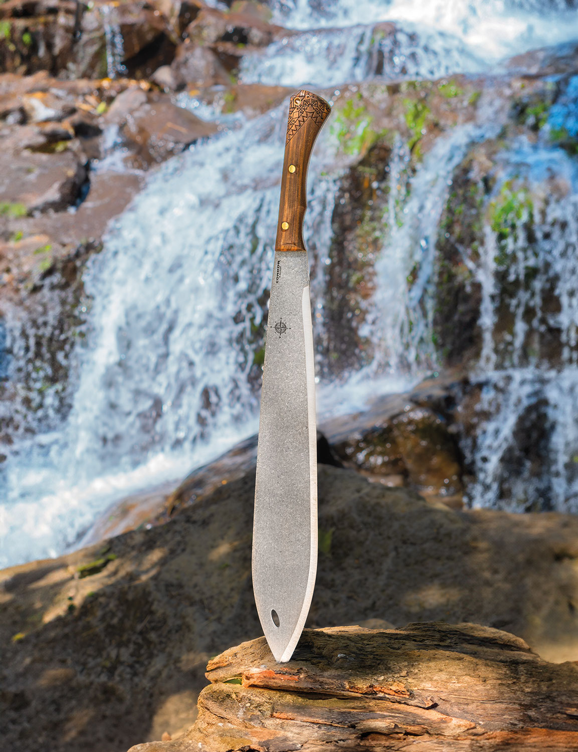 Condor Neuheiten 2026 online 