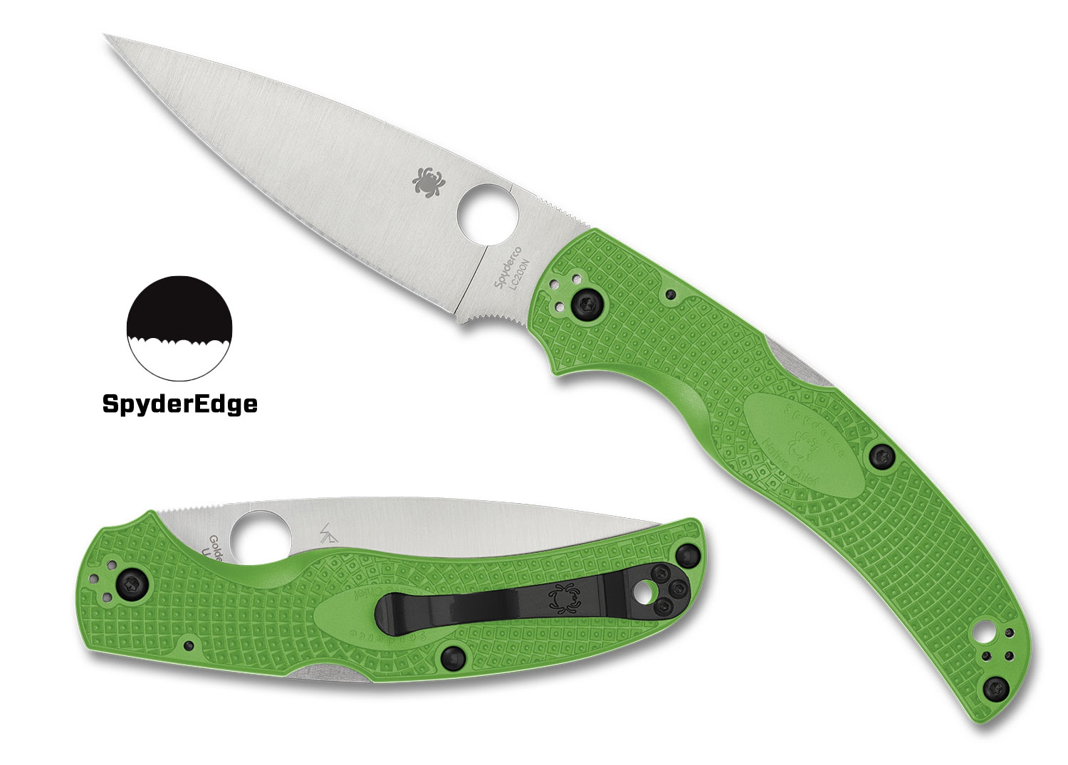 Spyderco C244SGR Native Chief Salt, Green, LC200N